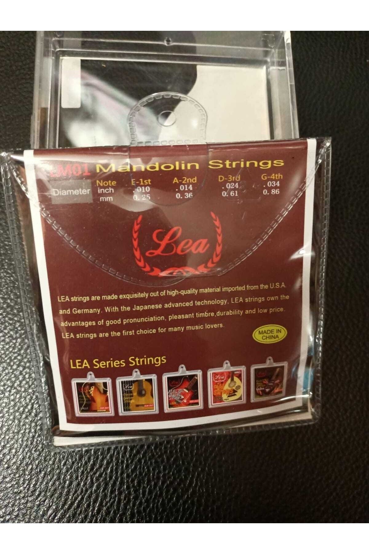 LEA-Lm01 Model Standard Mandolin String Set-Pea with Gift 2