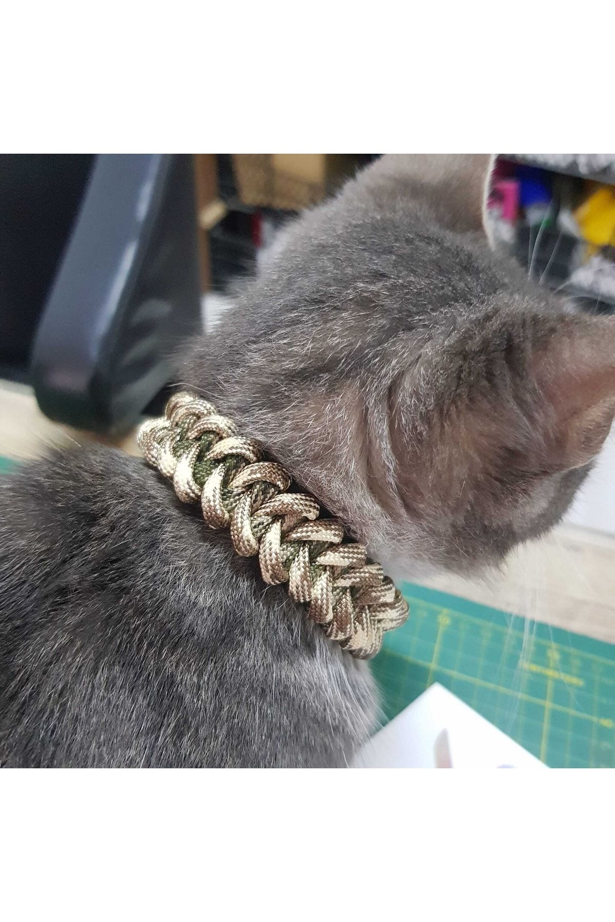 Paracord best sale cat collar