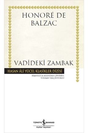 Hasan Ali Yücel Klasikleri - Vadideki Zambak 9786053328582