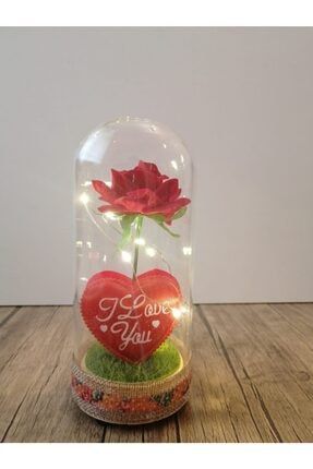 Sevgililer Günü Kalpli, Işıklı Kırmızı Gül Fanus Hd480 MDTOHD480