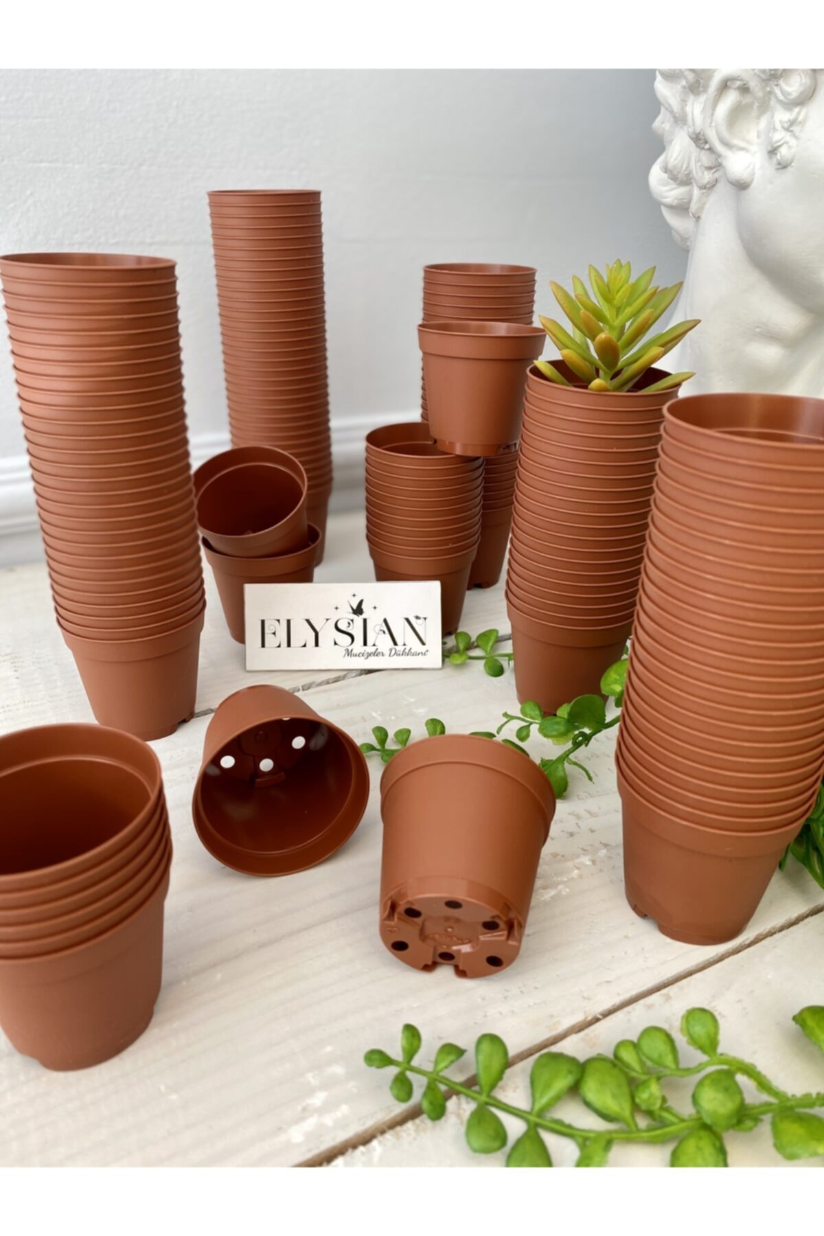 Üretim Saksı 50 Adet Kaktüs Ve Sukulent Üretim Saksısı 5,5x5 Kahverengi Renkli Küçük Plastik Saksı 2