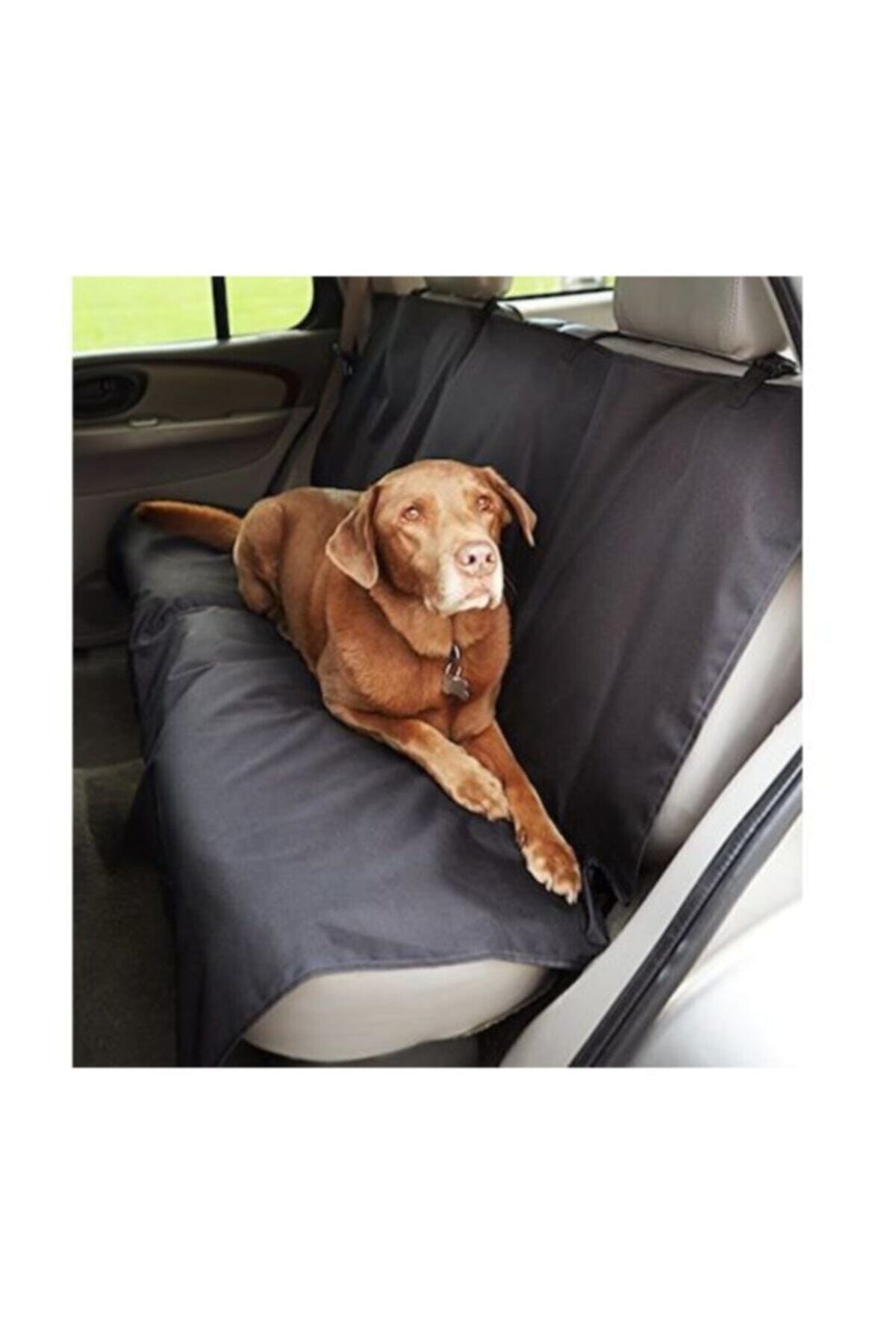 Ankaflex Sıvı Su Geçirmez Kumaş Araba Oto Araç Arka Koltuk Kedi Köpek Için Koltuk Örtüsü Kılıfı fotoğrafı 5 (önizleme)
