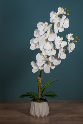 Seramik Saksıda 2 Dal Beyaz Islak Orkide MVR-YPY-59