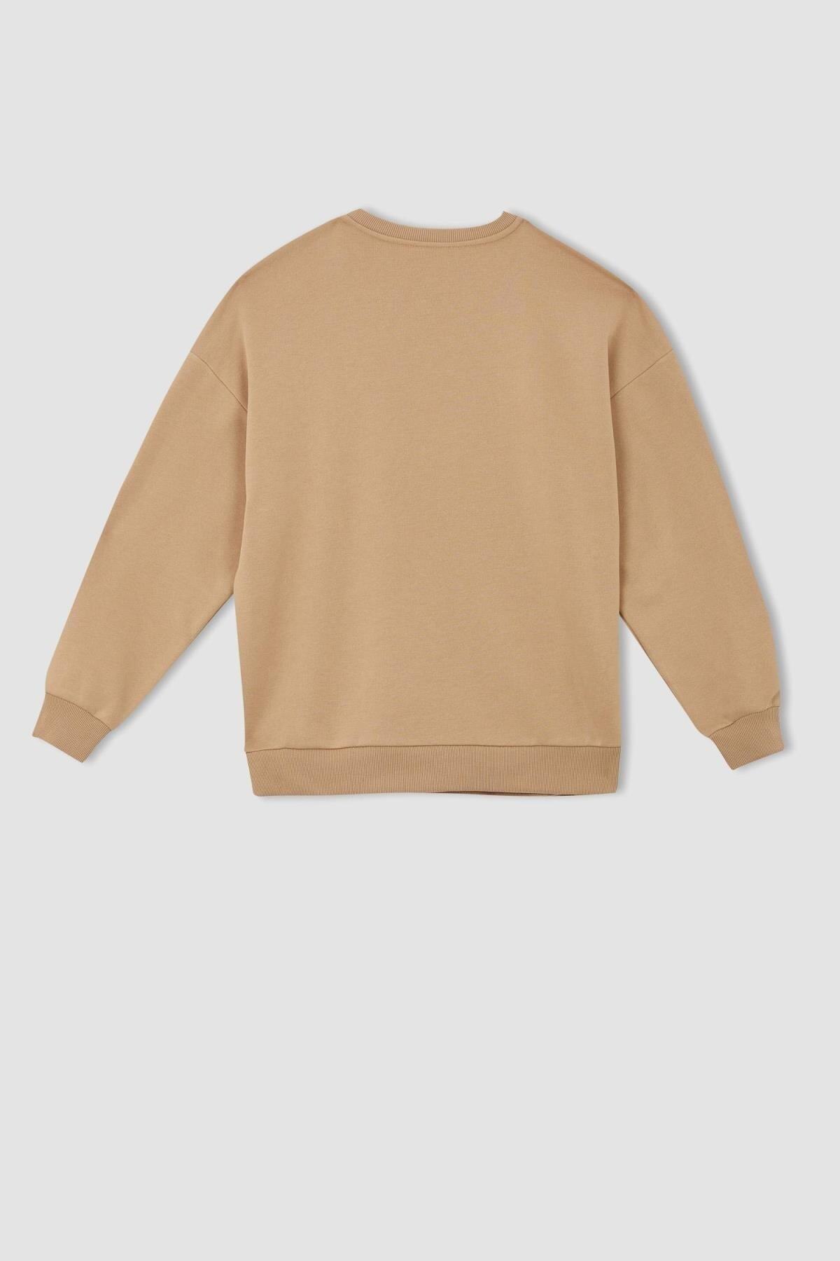 DeFacto-Oversize Fit mikina Crew Neck 7