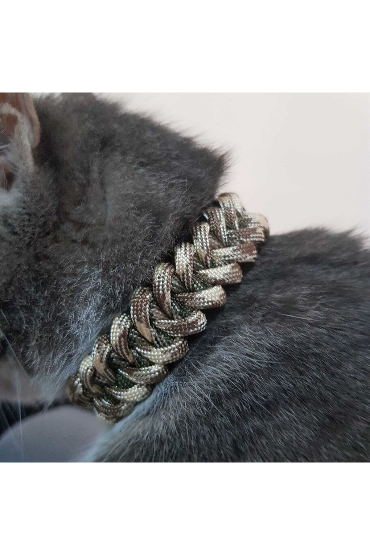 Paracord cat collar store
