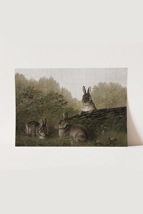 Vintage Tavşan Poster, Galeri Duvarı, Sanatsal Baskı, Tablo AA86TOE