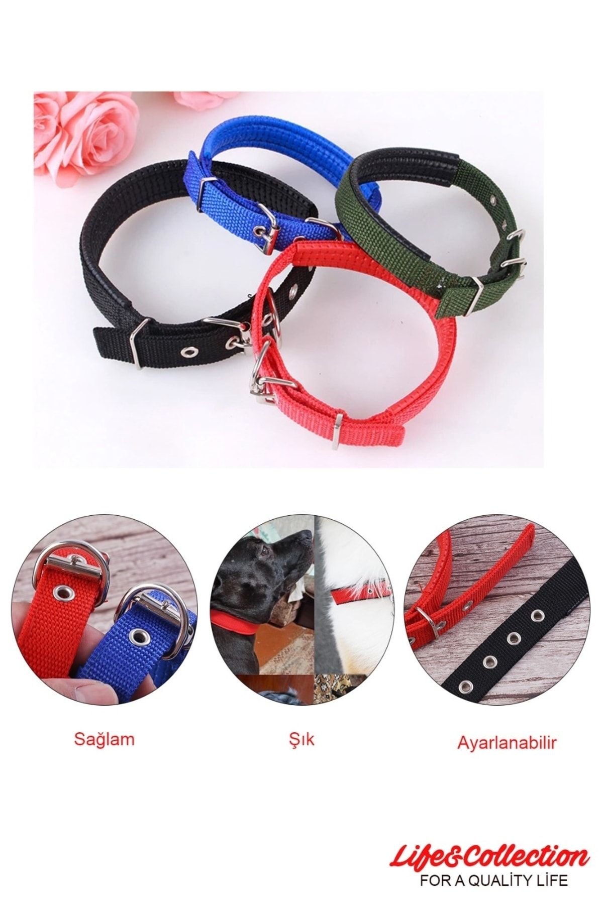 High quality dog deals collars and leads