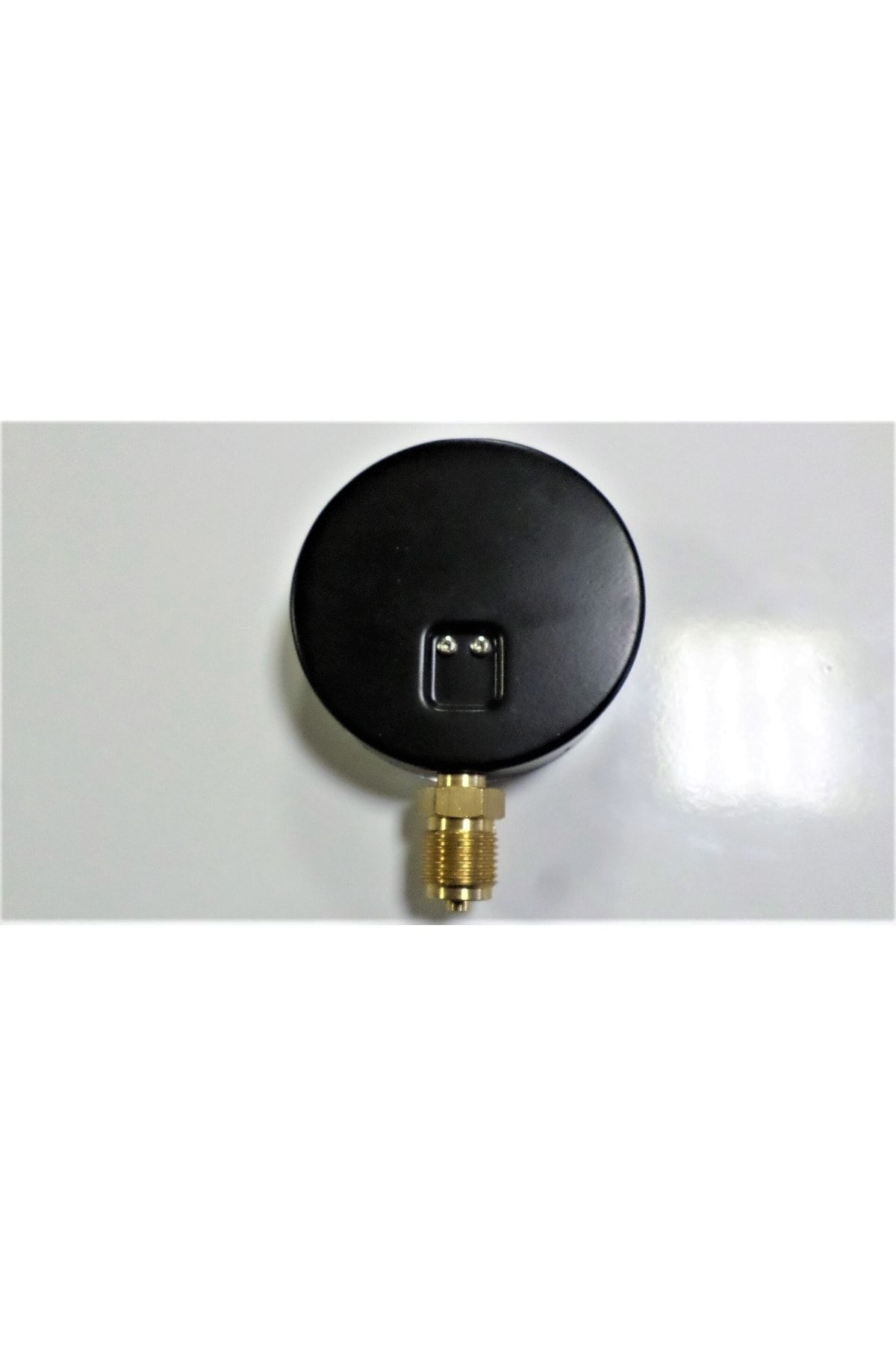 Dasterm-Hydrometer Diameter:ø100mm 0/10mws Bottom Connection G1/2''b 3