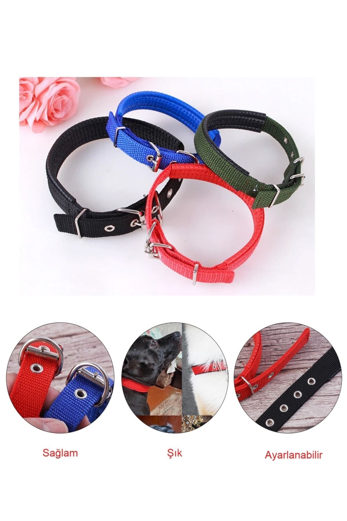 Pet circle store dog collars