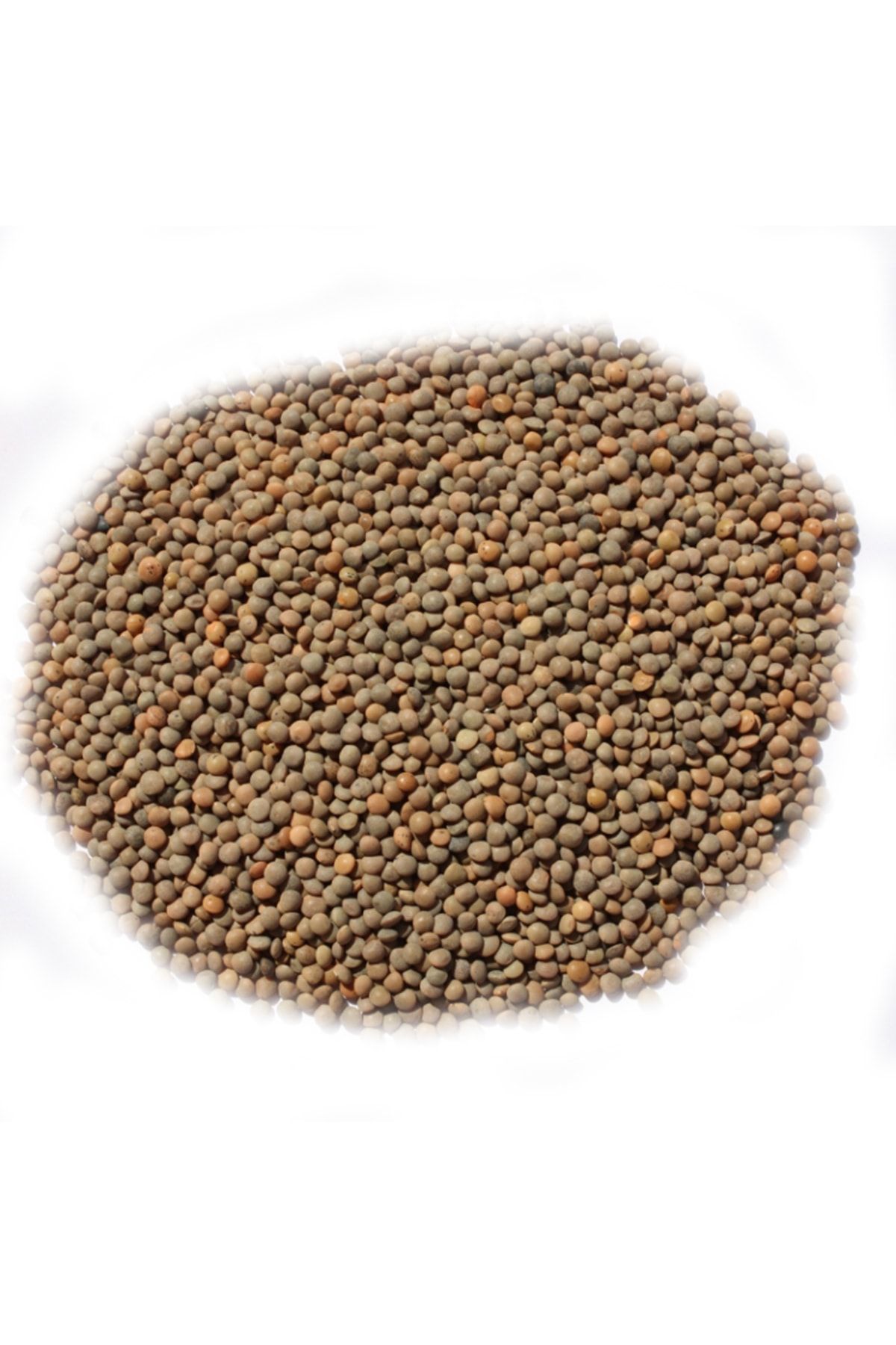 Arpacıoğlu %100 Yerli Türk Malı Siyah Mercimek 5kg ZO7346