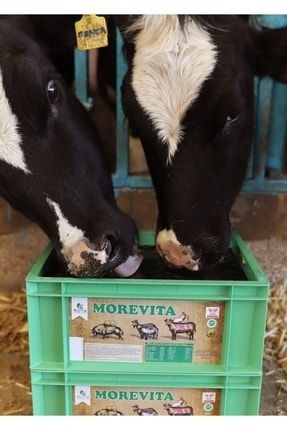 Yalama Kovası Morevita 23 Kg Rota Gıda Tarım Ve Hayvancılık morevita23