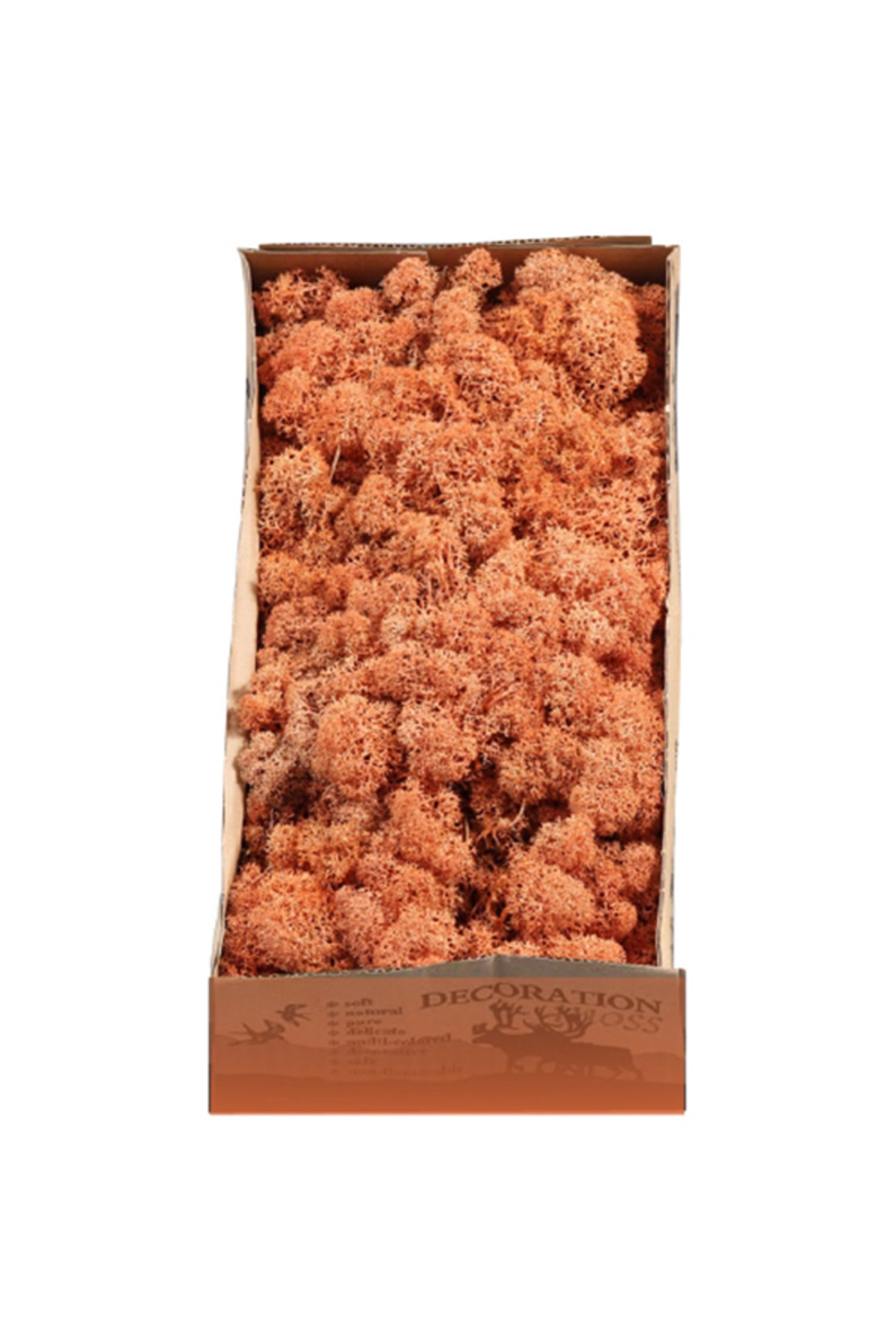 Reindeer Moss Mango Şoklanmış Norveç Yosunu
