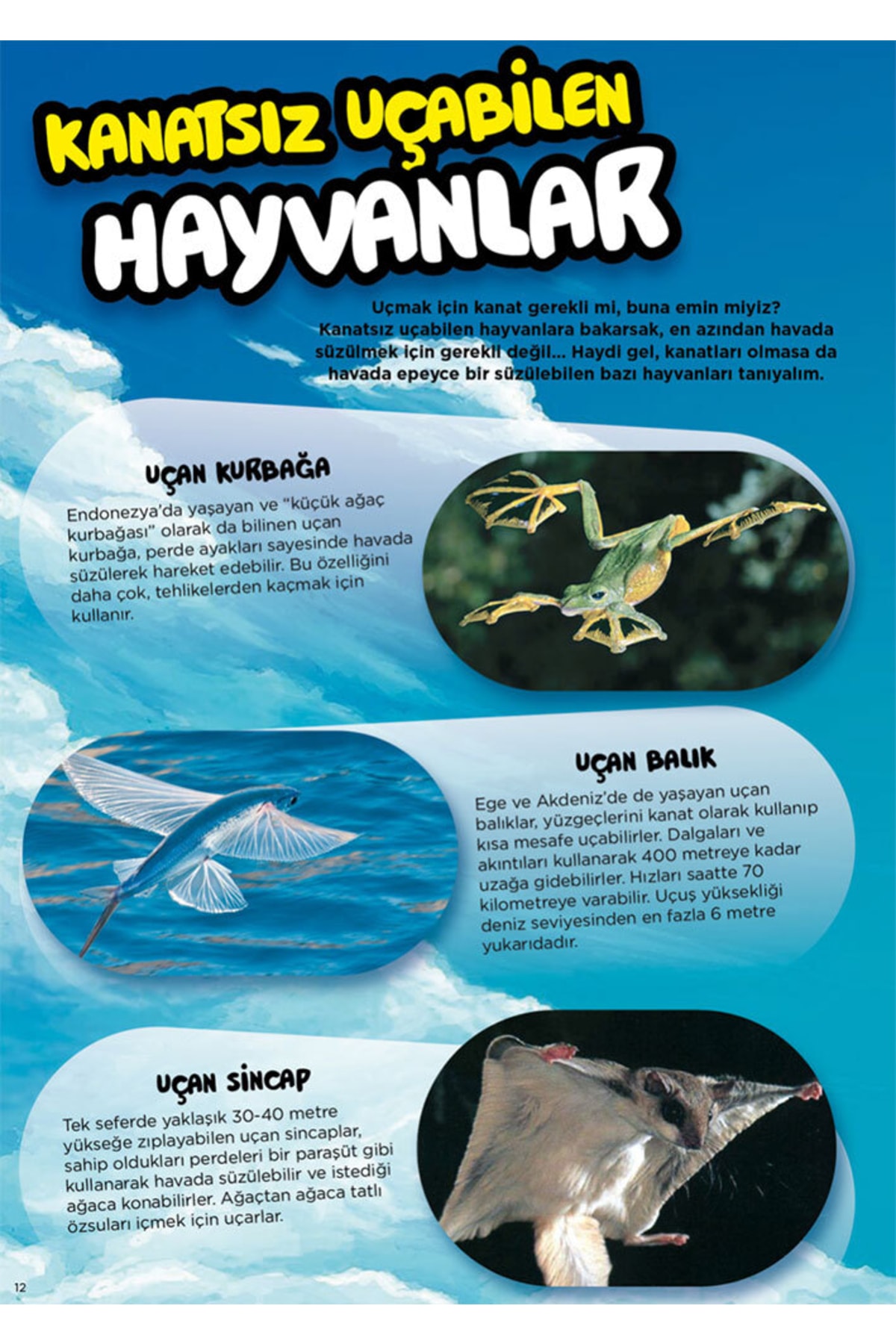 Çocuk Mizah Dergisi 65. Sayı
