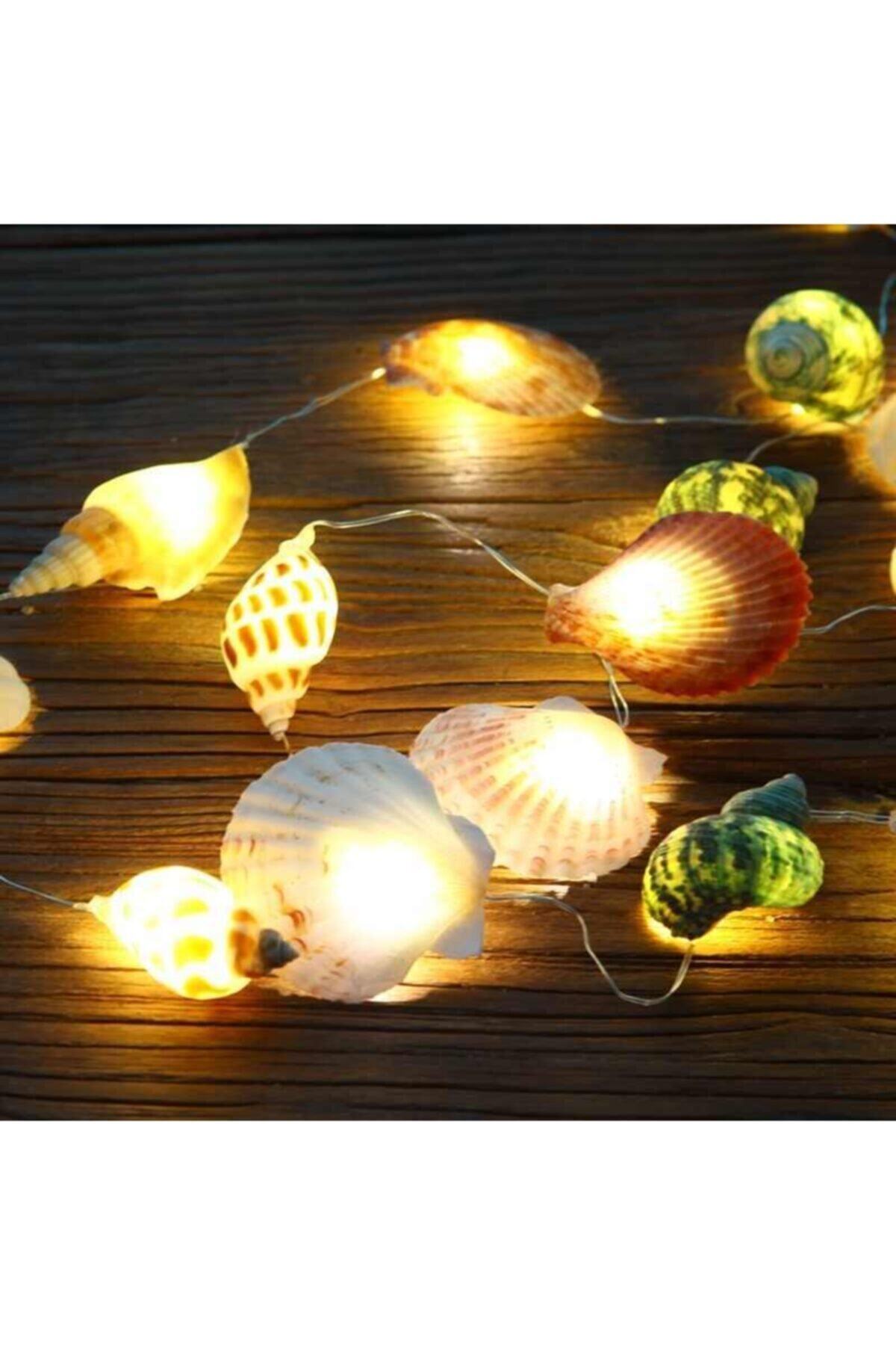 Seashell Strip Led Wall DecorLighting-3 Mt