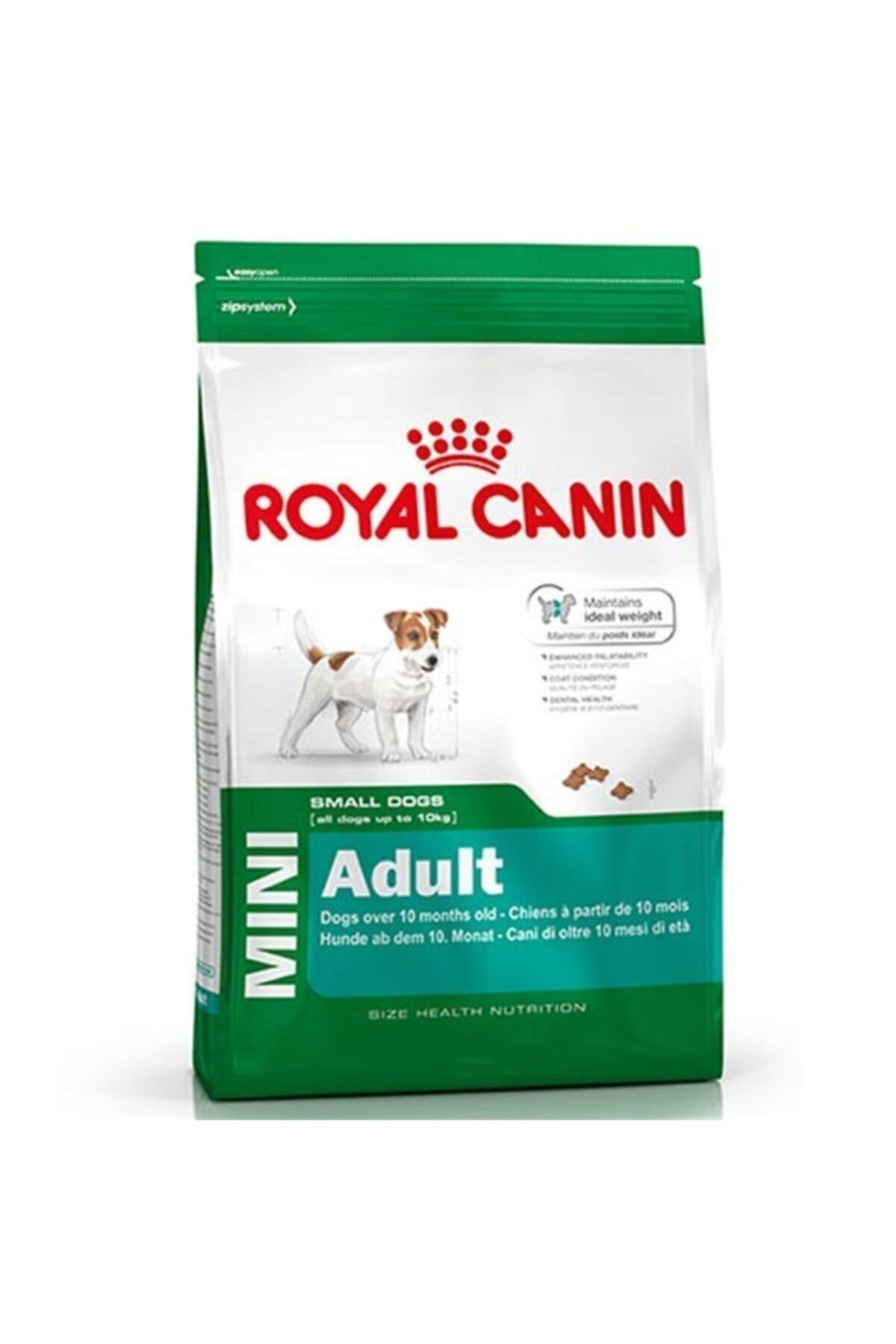Royal Canin Mini Adult Yetiskin Kopek Mamasi 8 Kg Fiyati Ve Yorumlari Trendyol