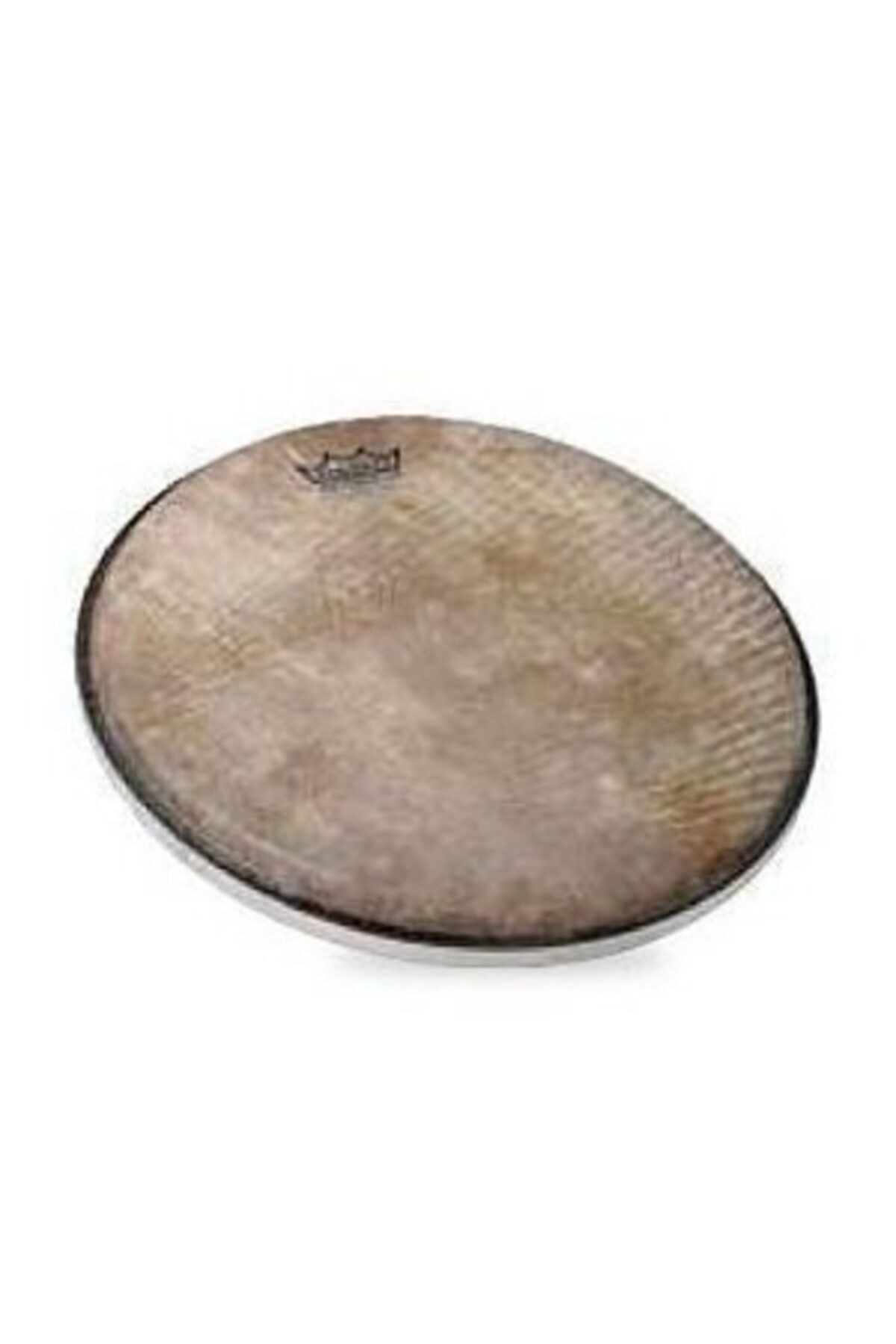 REMO 8,75'' Renaissance Darbuka Derisi Fiyatı, Yorumları Trendyol