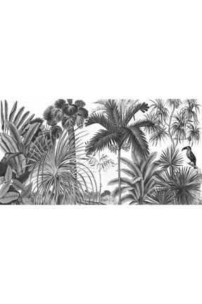 Tropikal Palmiye Ve Muz Ağaçları Siyah Beyaz Vinil Duvar Kağıdı Tutkal Hediyeli PALM-0002067