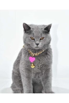 Kedi Tasması Kedi Kolyesi Gold Ayarlanabilir Tasma KTK01