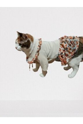 fng fashion suslu desenli kedi kiyafeti