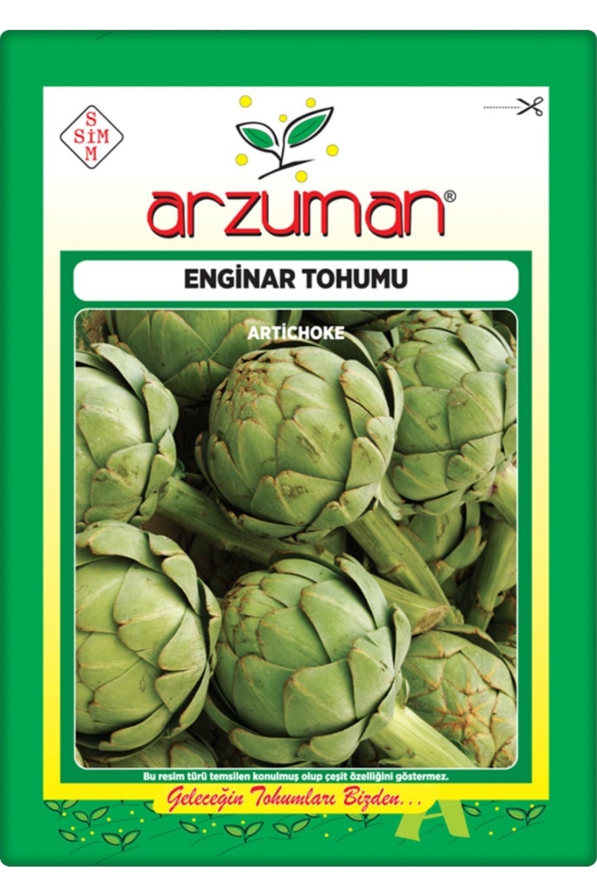 Artichoke Seeds (20 PIECES)