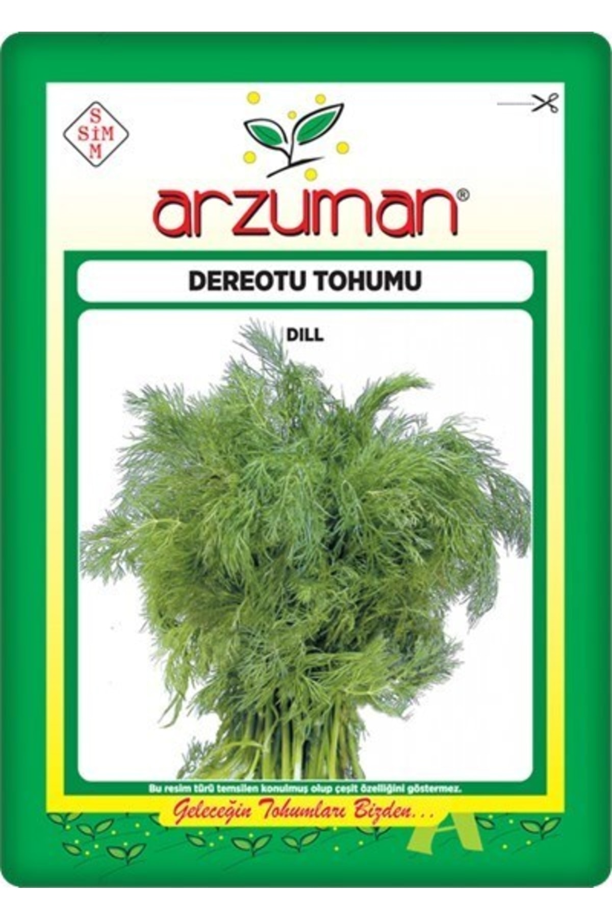 Dill Seed (25 GR)