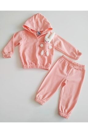 Didu Store 9-24 Ay Pembe Renkli Kız Bebek Giyim Modelleri - Kız Bebek Model Takım Elbiseleri sr1000