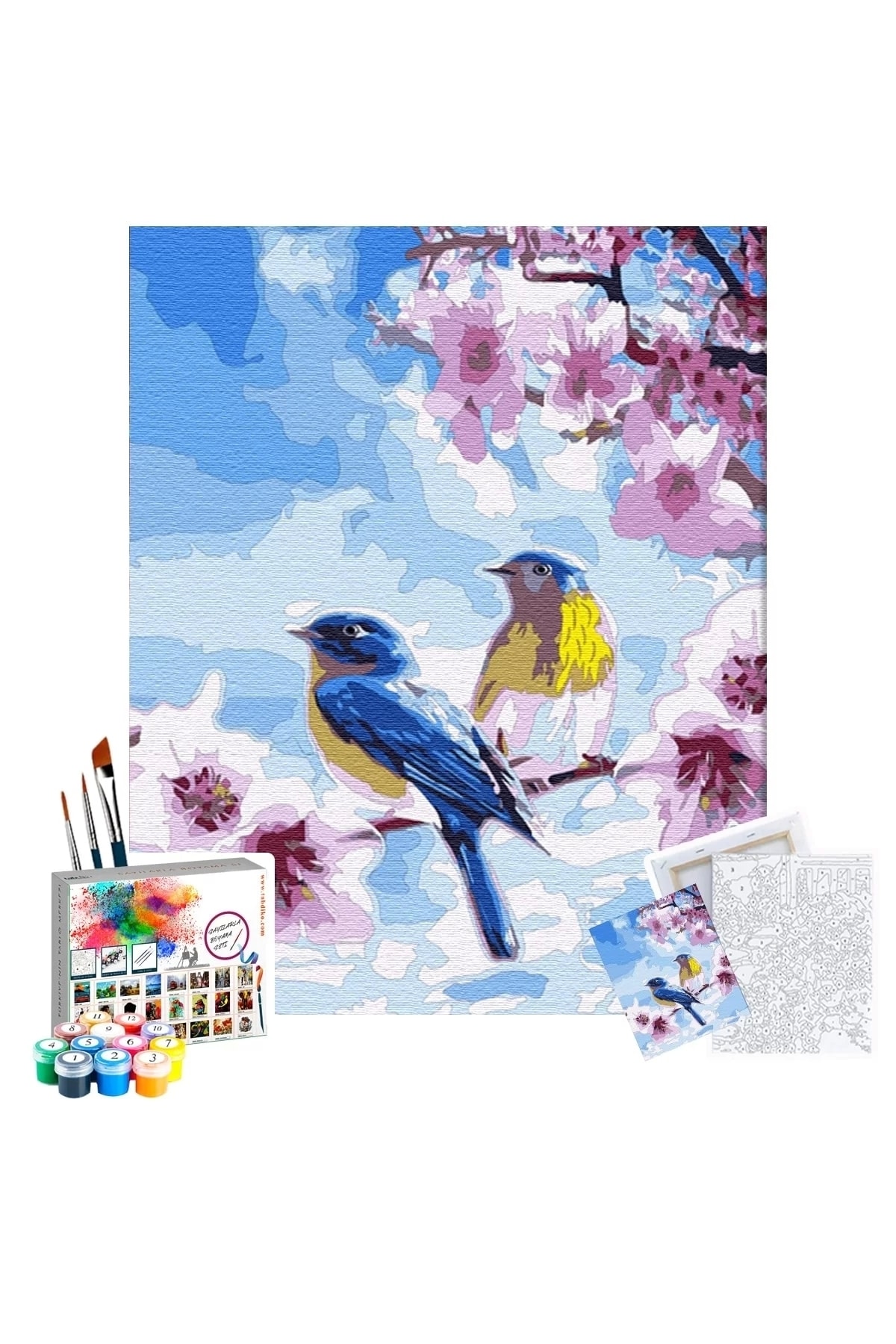 ölçekli bir ot resminin yarısı