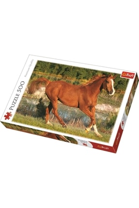 The Beauty Of Gallop 500 Parça Puzzle GSPS5900511371840