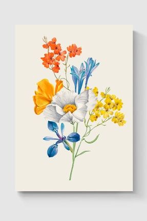 Renkli Çiçekler Poster - Yüksek Çözünürlük Hd Duvar Posteri DUOFG100344