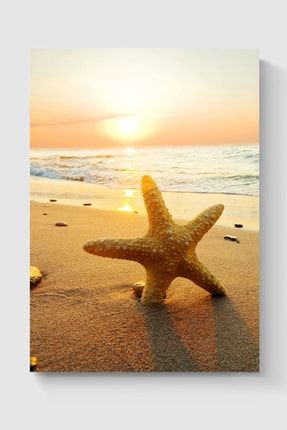 Deniz Yıldızı Poster - Yüksek Çözünürlük Hd Duvar Posteri DUOFG100449