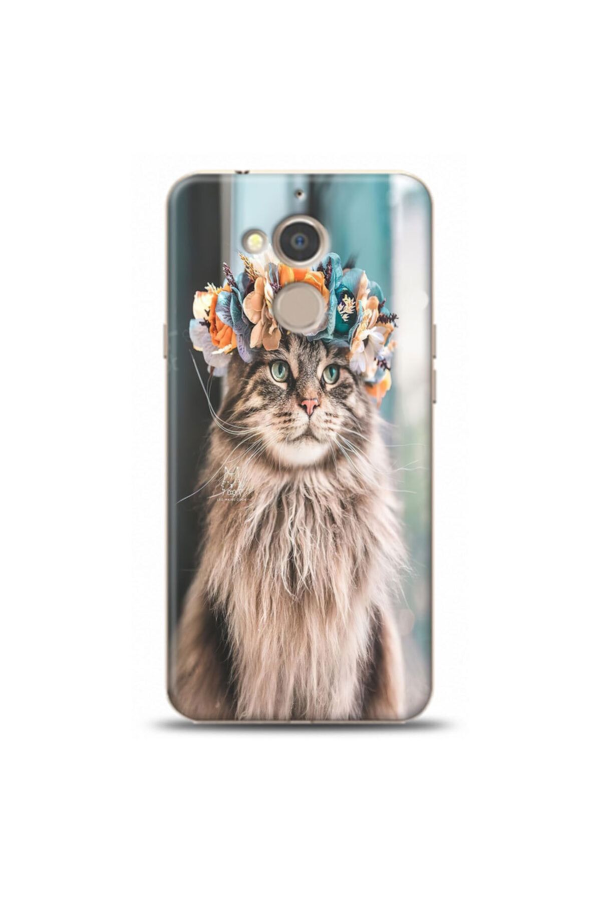 kedi tırnak kesimi fiyatı