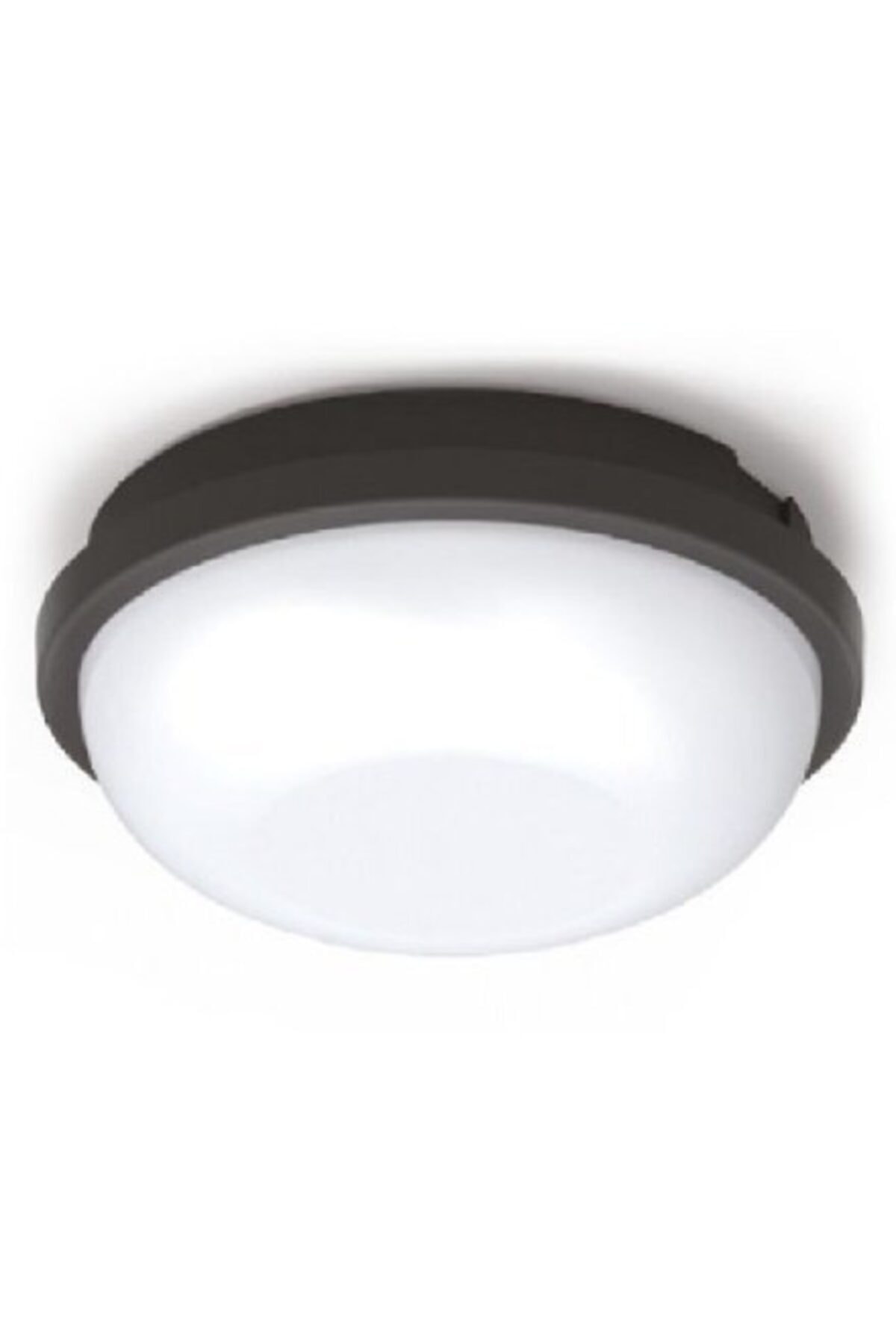 Rooster 20w Led Ceiling Sconce Black Case White Light Surface Mounted ARTOS-20