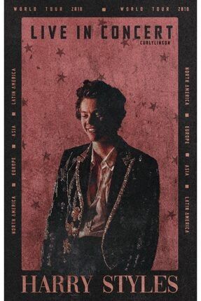 Harry Styles Posteri - Harry Styles Afişleri (50x70) TRM21DBGUSP10008-50x70