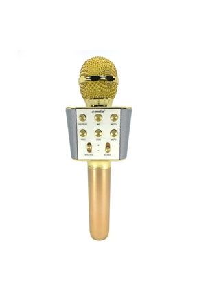 Sn-x666 Microphone Kablosuz Stereo Hoparlör - Speaker - Gold TY-8126