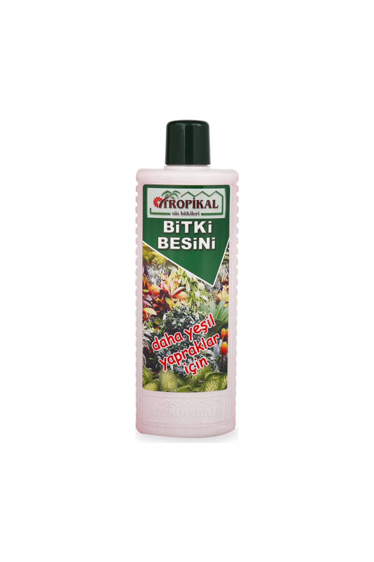Yeşil Yapraklar Bitki Besini