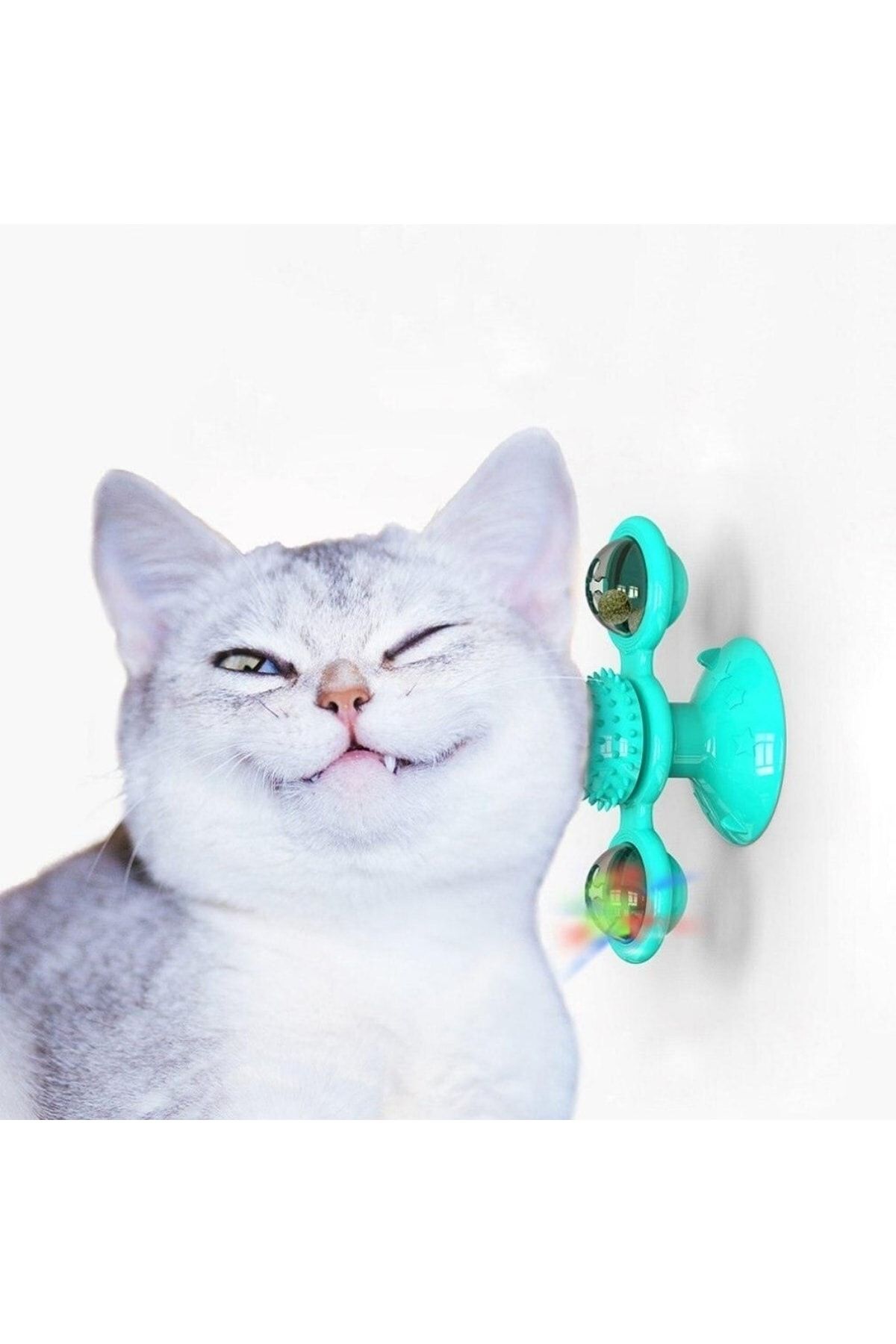 sonx-Suction Cup Pinwheel Bulk Rotating Transparent Warehouse Design Interactive Cat Toy 2