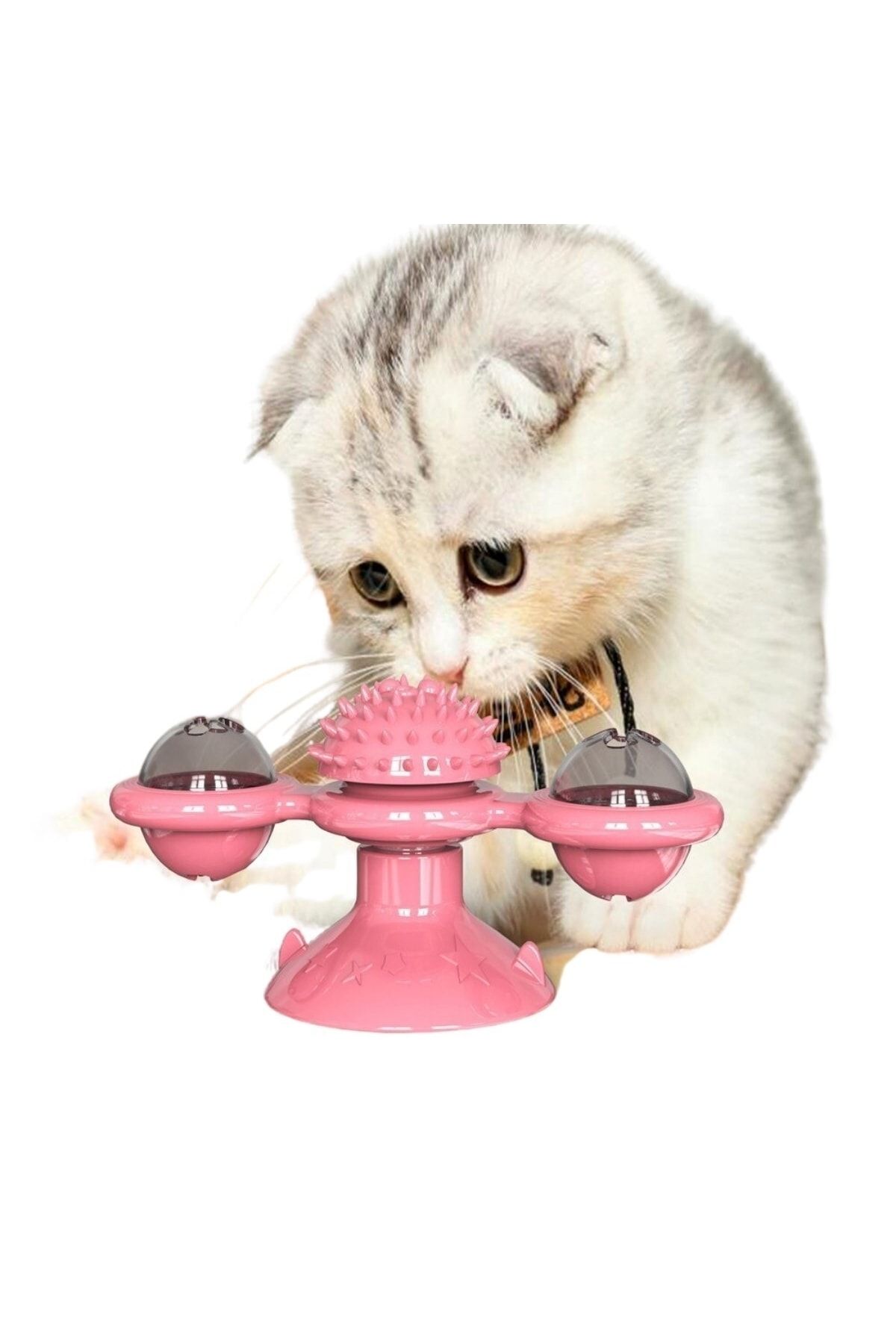 sonx-Suction Cup Pinwheel Bulk Rotating Transparent Warehouse Design Interactive Cat Toy 3