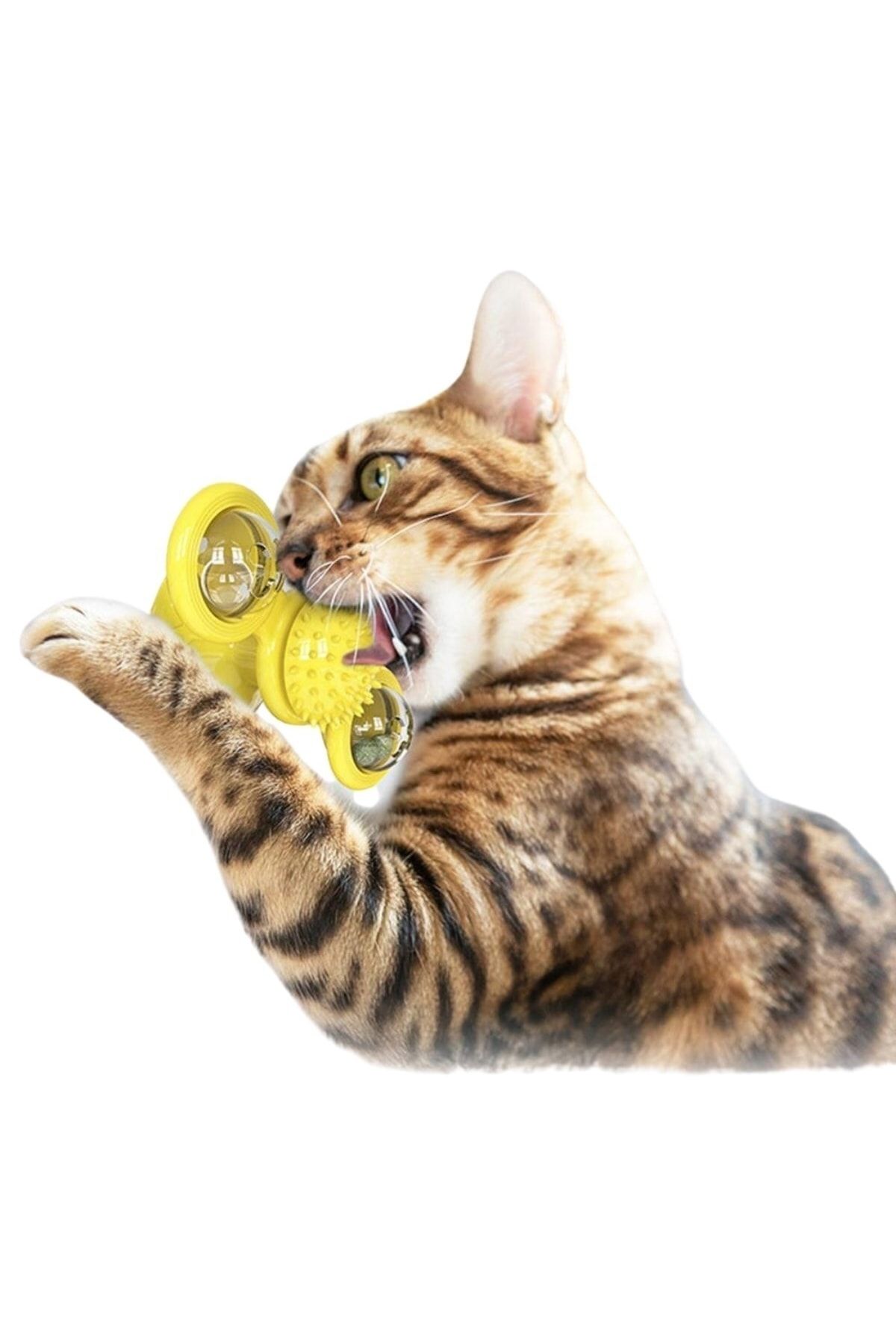 sonx-Suction Cup Pinwheel Bulk Rotating Transparent Warehouse Design Interactive Cat Toy 5