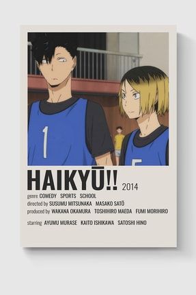 Haikyu!! Anime Info Card Bilgi Kartı Minimalist Poster DUOFG200054