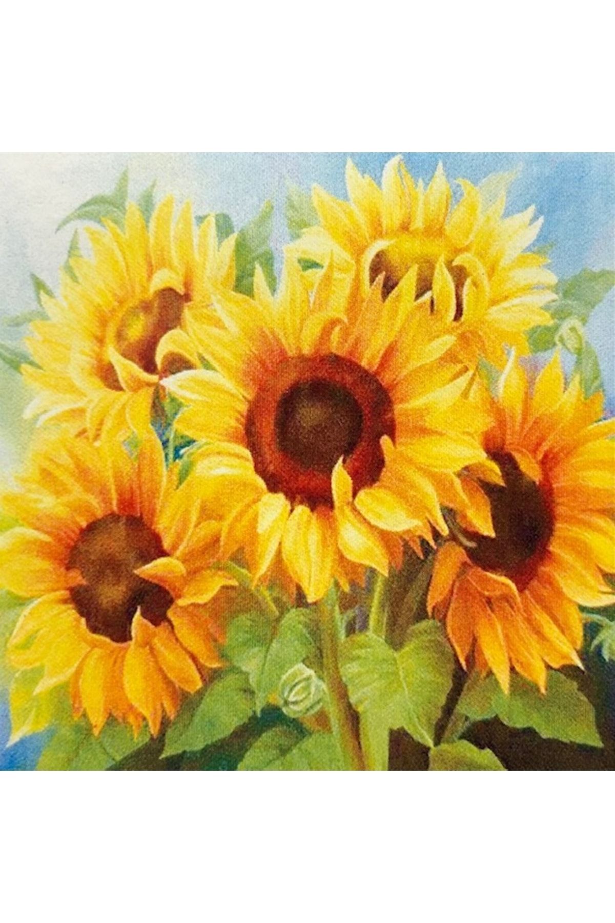 OzanTuhafiye Hı Stone 5d Elmas Boncuk Taş Işleme Mozaik Goblen Kit 30x30cm Ms24704