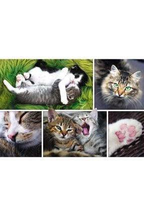 Just Cat Things - Collage 1500 Parça Puzzle TR26145