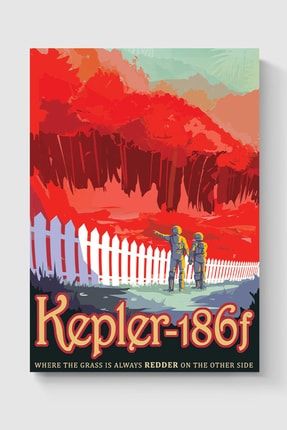 Kepler-186b Poster - Yüksek Çözünürlük Hd Duvar Posteri DUOFG100523