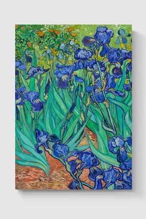 Vincent Van Gogh Tablo Sanatsal Ünlü Ressam Poster - Yüksek Çözünürlük Hd Poster DUOFG102388
