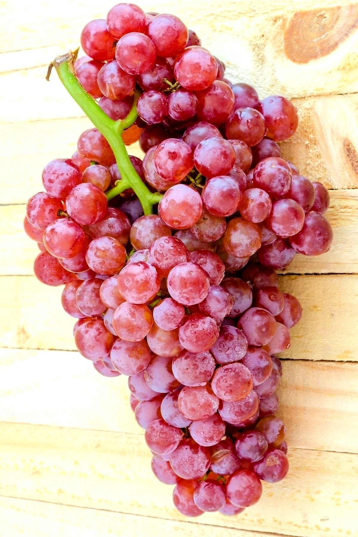 Dış Mekan Tatlı Pembe Red Grapes Üzüm Açık Kök 35-40cm