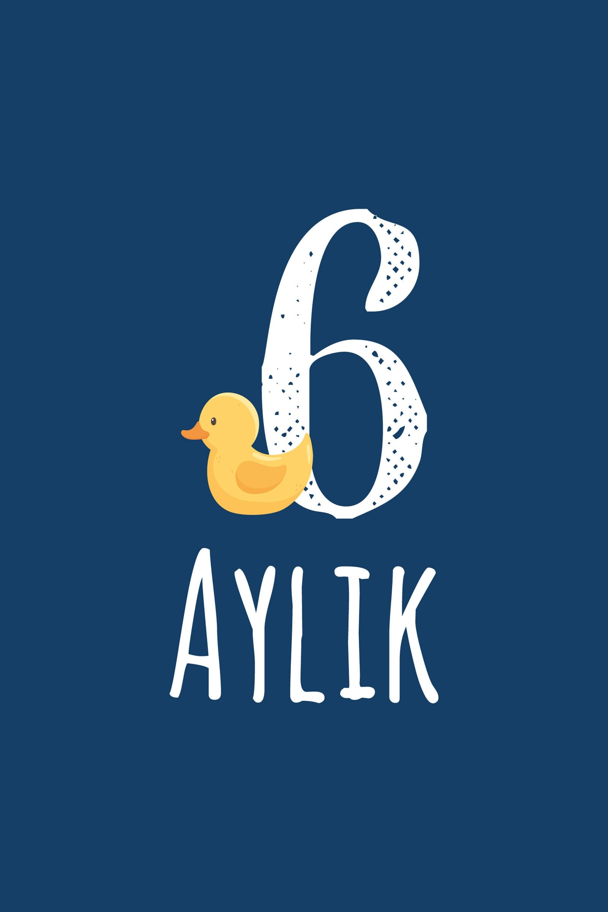 AKILLICA Hafta Hafta Hamilelik Fotoğraf Çekim Kartları - Gebelik Anı Kartları fotoğrafı 7 (önizleme)