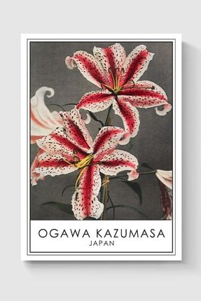 Ogawa Kazumasa Tablo Sanatsal Ünlü Ressam Poster - Yüksek Çözünürlük Hd Duvar Posteri DUOFG100785