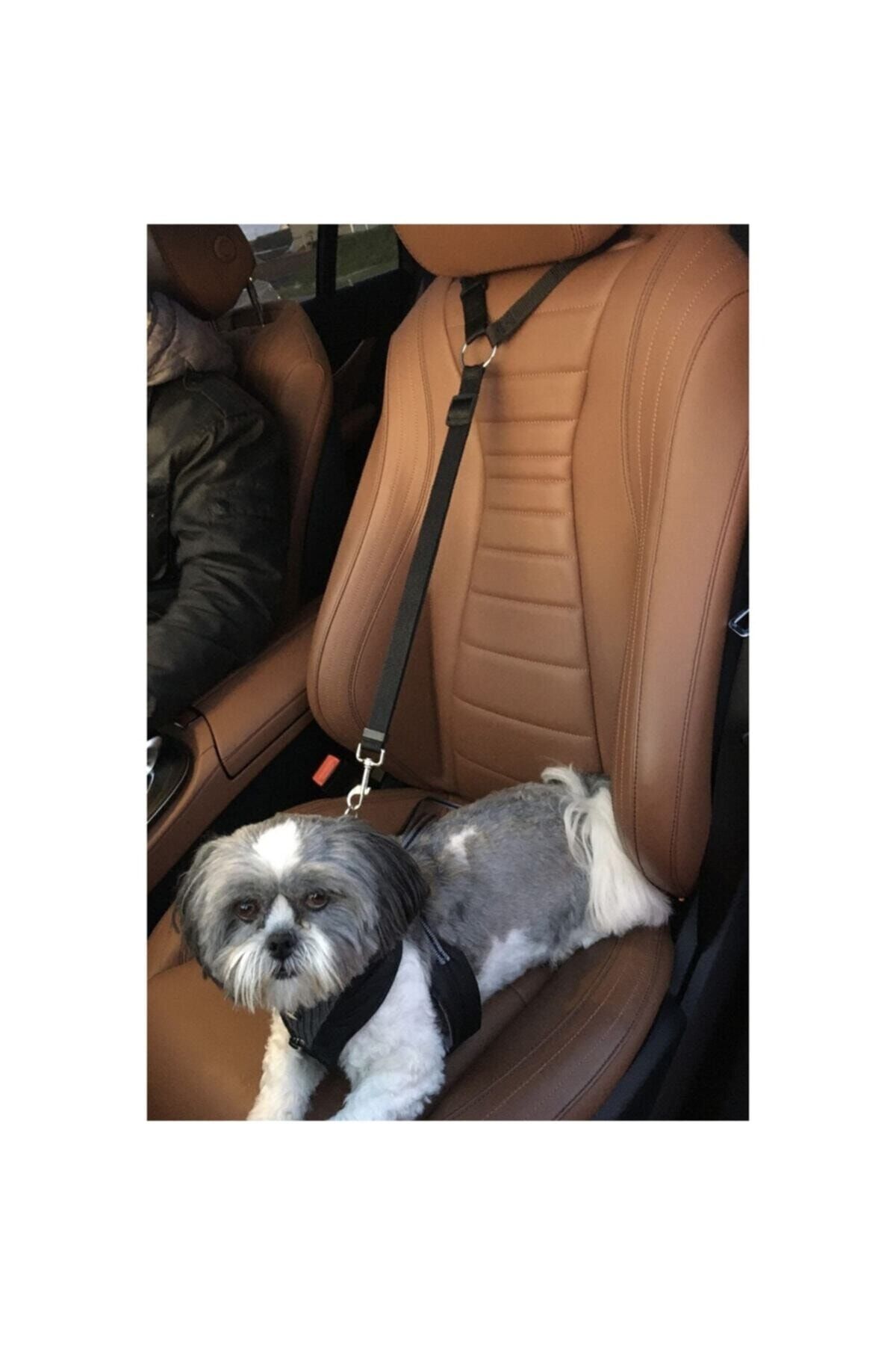 Pet shop travel seat