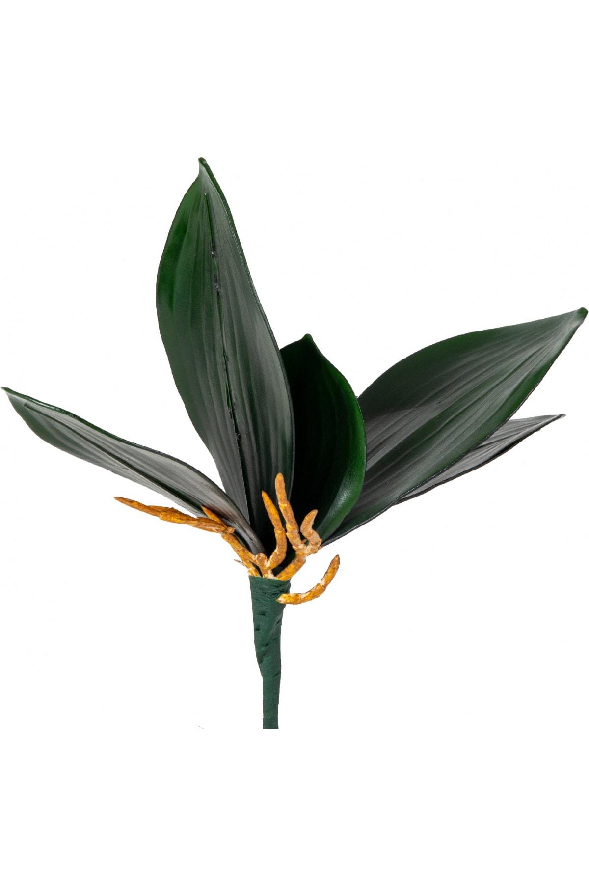 Artificial Orchid Leaf Green 25 Cm.