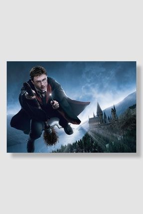 Harry Potter Film Posteri Yüksek Kaliteli Kalın Parlak Kuşe Kağıdı FDDPS064