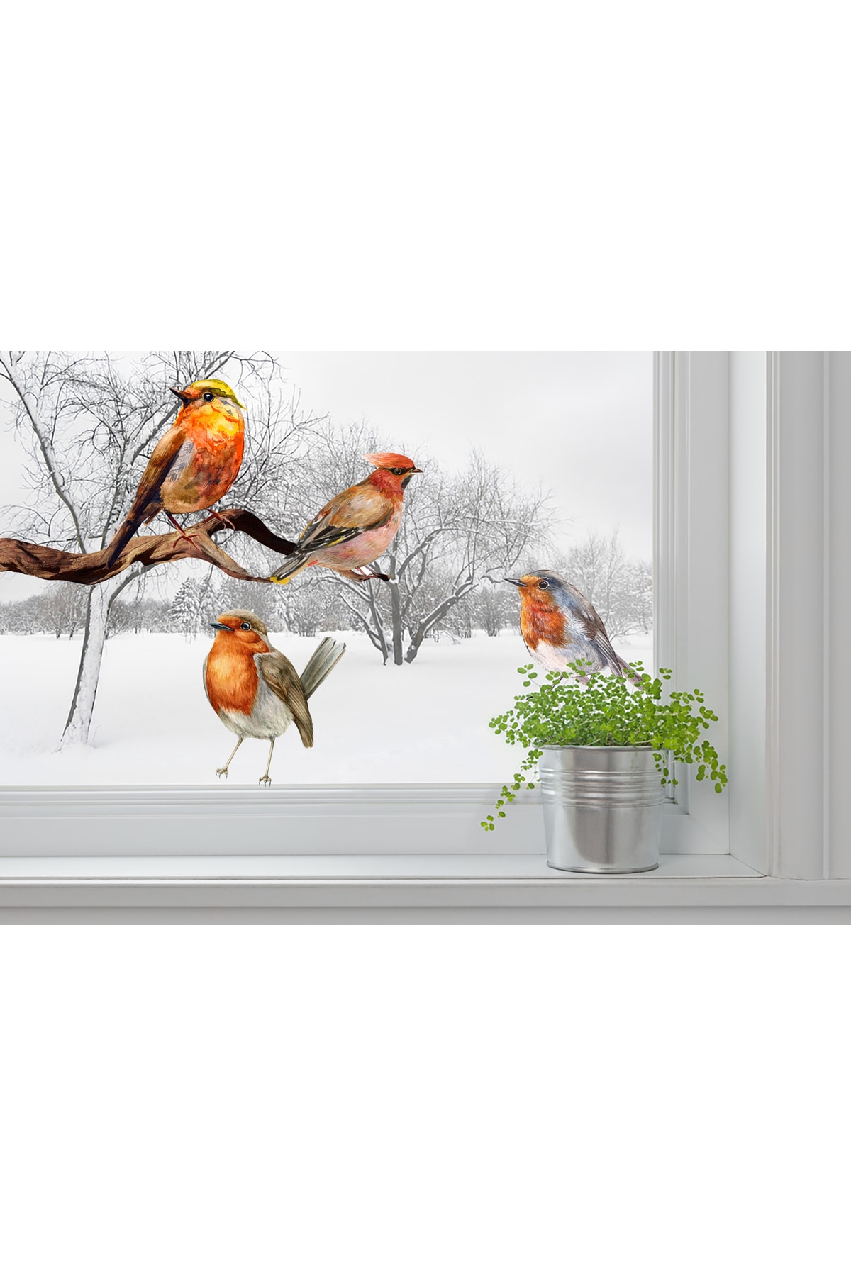 Sticker Sepetim Sevimli Renkli Kuşlar Serçeler Suluboya Cam, Pecere, Duvar Sticker fotoğrafı 4 (önizleme)